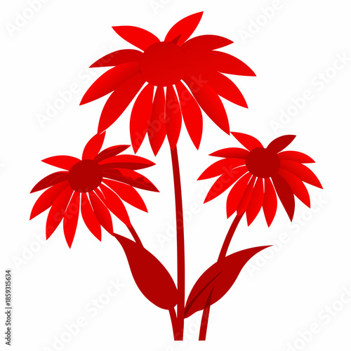 coneflower hybrid red silhouette on white