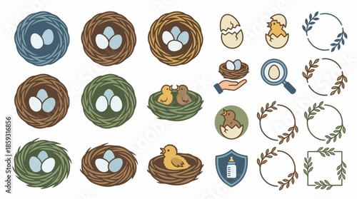 Bird nests with eggs and chicks illustrations. Spring Vector Packs. EPS Editable