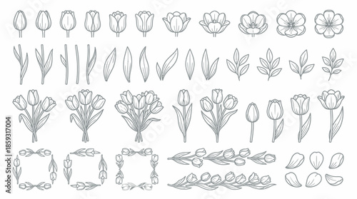 Black and white floral line art illustrations. Spring Vector Packs. EPS Editable