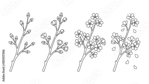 Black and white illustration of flowers. Spring Vector Packs. EPS Editable