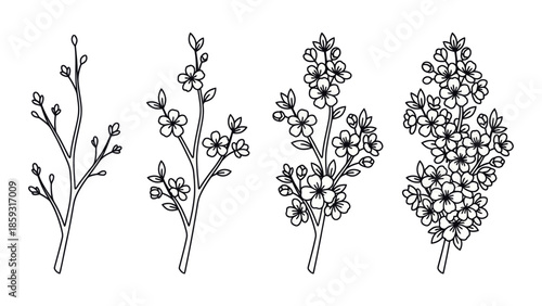 Black and white illustration of flowers 1. Spring Vector Packs. EPS Editable