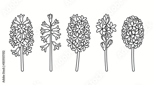 Black and white illustration of flowers 2. Spring Vector Packs. EPS Editable