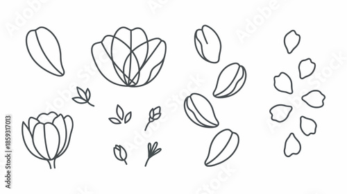 Black and white flower leaf illustration. Spring Vector Packs. EPS Editable