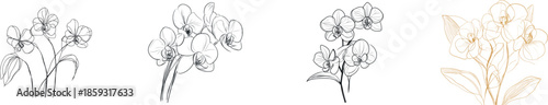 Spring flowers are illustrated in a modern graphic style through a continuous one line drawing that forms a single line floral design