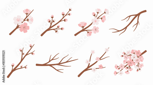 Cherry Blossom Branches with Pink Flowers 1. Spring Vector Packs. EPS Editable