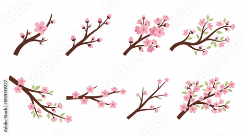 Cherry Blossom Branches with Pink Flowers. Spring Vector Packs. EPS Editable