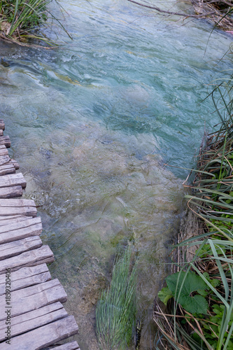 Wooden planks on the clear water of a lake with reeds