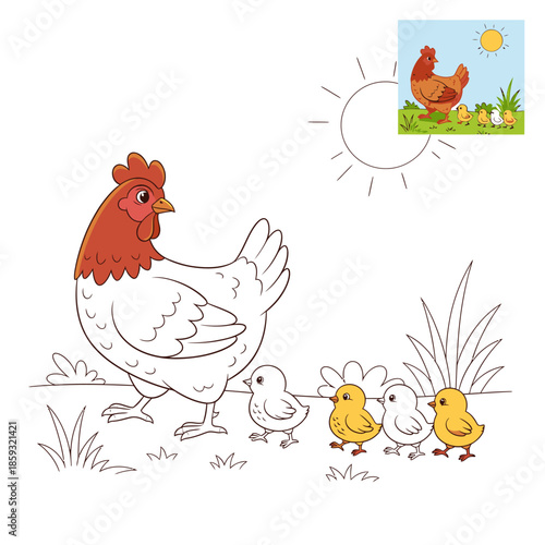 Hen and Chicks A Mothers Love in a Farmyard Scene.