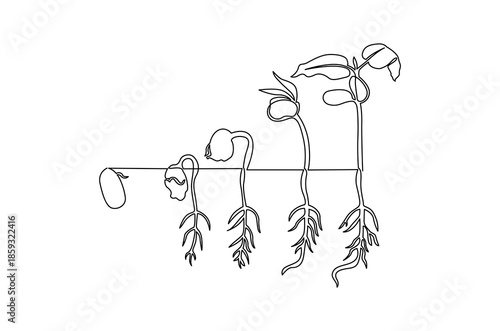 Continuous one line drawing of Little green seedlings growing. Single line drawing illustration of Seed germination in soil. Plant growth steps concept vector art. Doodle line illustration.
