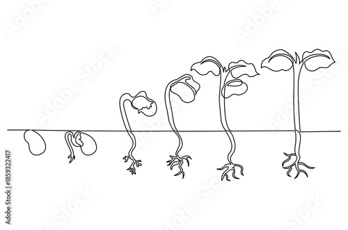 Continuous one line drawing of Little green seedlings growing. Single line drawing illustration of Seed germination in soil. Plant growth steps concept vector art. Doodle line illustration.