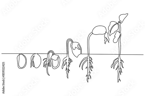 Continuous one line drawing of Little green seedlings growing. Single line drawing illustration of Seed germination in soil. Plant growth steps concept vector art. Doodle line illustration.