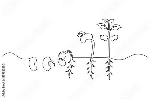 Continuous one line drawing of Little green seedlings growing. Single line drawing illustration of Seed germination in soil. Plant growth steps concept vector art. Doodle line illustration.