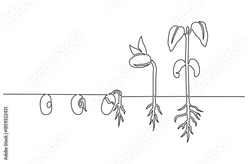 Continuous one line drawing of Little green seedlings growing. Single line drawing illustration of Seed germination in soil. Plant growth steps concept vector art. Doodle line illustration.