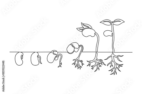 Continuous one line drawing of Little green seedlings growing. Single line drawing illustration of Seed germination in soil. Plant growth steps concept vector art. Doodle line illustration.