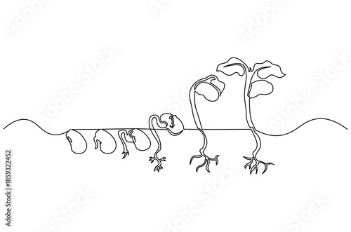 Continuous one line drawing of Little green seedlings growing. Single line drawing illustration of Seed germination in soil. Plant growth steps concept vector art. Doodle line illustration.