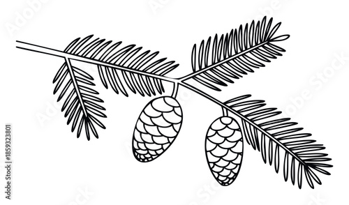 Stylized evergreen branch with two hanging pinecones providing a natural botanical depiction for seasonal greeting cards and festive winter themed projects.