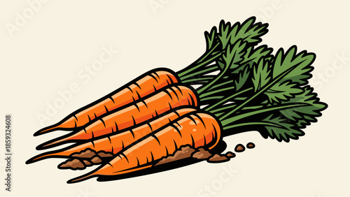 Fresh Carrots with Green Tops.