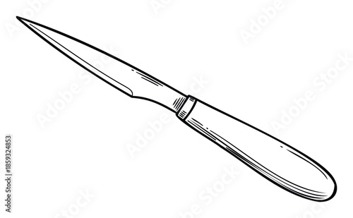 Hand drawn illustration of a versatile pointed knife, suitable for use in restaurant menus, kitchenware product listings, and foodrelated presentations