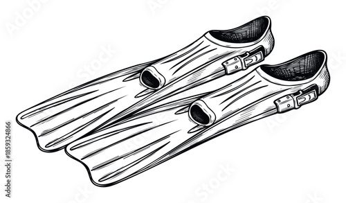 A pair of classic swimming fins for underwater exploration and aquatic sports, perfect for illustrating ocean adventures, diving lessons, or summer vacation themes.