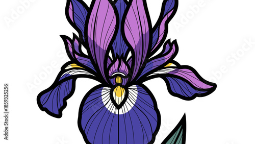 Purple Iris Flower Illustration Artwork Design.