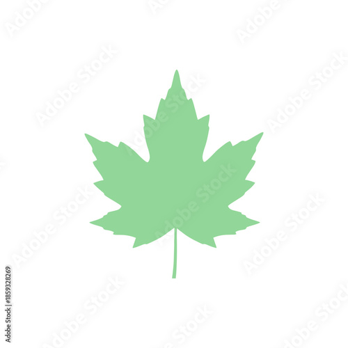 A simple, light green maple leaf silhouette representing nature and the changing seasons