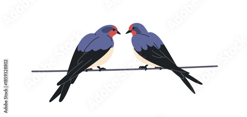 Swallow couple on wire. Birds pair perched together on electric cable, sitting on power line, clinging on string, relaxing, resting. Flat vector illustration isolated on white background