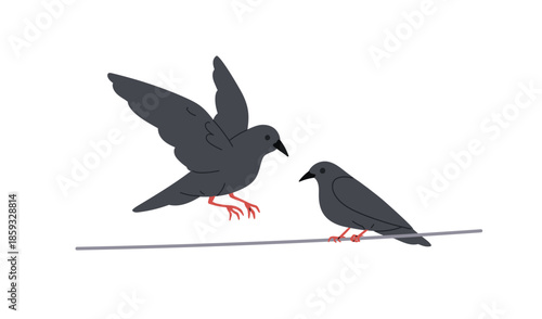 Crows on wire. Black feathered birds sitting and landing on power line. Ravens couple perched, clinging on electric cable, string, rope. Flat vector illustration isolated on white background