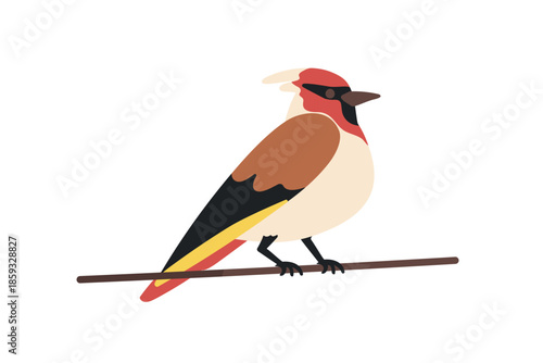 Goldfinch perched on wire, electric power line. Small European songbird, carduelis sitting on string. Bird in profile on cable in nature. Flat vector illustration isolated on white background