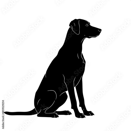 “Elegant black silhouette of a sitting dog on a white background, three-quarter profile, calm and attentive posture.”