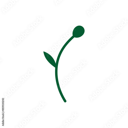 green plant isolated on white background