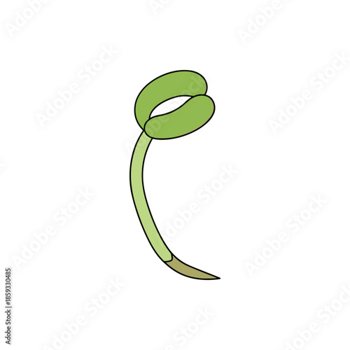 green leaf on white background