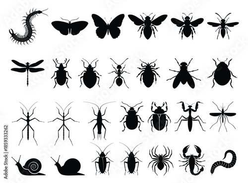 Black insect silhouettes collection vector of bugs