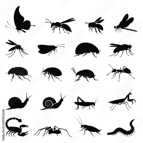 Side View of Black Insect Silhouettes Collection