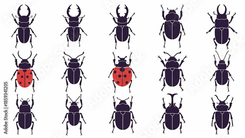 A collection of various insect illustrations, showcasing different species of beetles, including stag beetles, with varying shapes. One is a ladybug