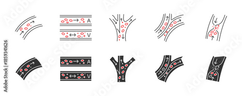 Blood flow  icon set , Blood Vessel  Icons, Bloods Capillary tube, Human circulatory system flow in Artery, vector illustration . 