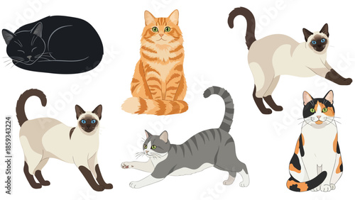 Set of funny cartoon cats with a dog on a white background