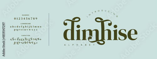 Elegant alphabet beauty logo font. Classic beautiful Modern luxury Serif Letter Minimal Fashion. Typography decoration logotype fonts, wedding, logos. vector illustration