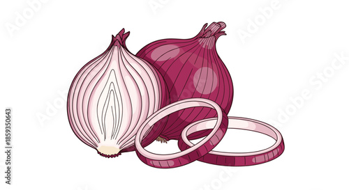 Detailed illustration of a red onion including a whole bulb, a half section, and individual sliced rings for culinary designs.