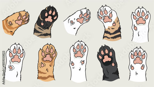 Adorable pink cat paw beans isolated on white background