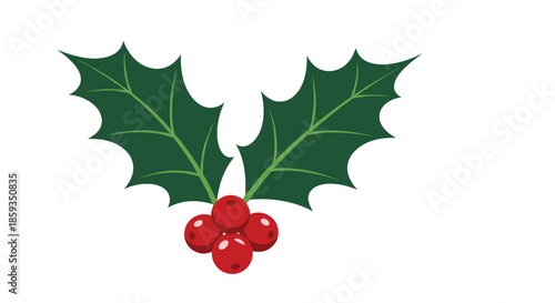 Classic Christmas holly branch featuring two large green leaves and four bright red berries on a plain white background for the holidays.