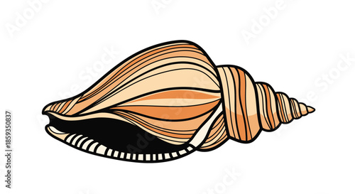 Detailed illustration of a spiral seashell with warm tan and orange stripes on its surface against a solid white background for ocean.