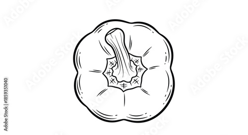 Detailed black and white line art illustration showing the top down view of a whole bell pepper with its stem and distinct ridges.