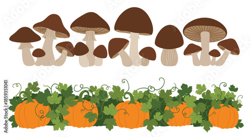 Decorative autumn border featuring a horizontal row of various brown mushrooms and orange pumpkins with green vines and leaves.
