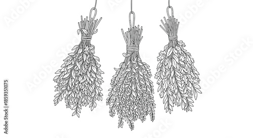 Detailed botanical line art illustration of three bunches of aromatic herbs hanging upside down to dry on a plain white background.