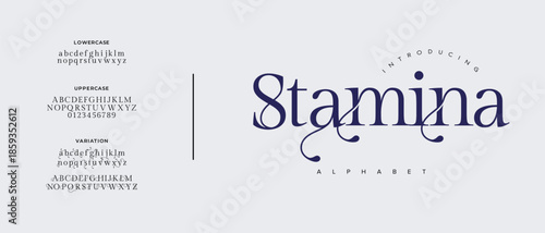 Elegant Font Uppercase Lowercase and Number. Classic Lettering Minimal Fashion Designs. Typography modern serif fonts regular decorative vintage concept. vector illustration