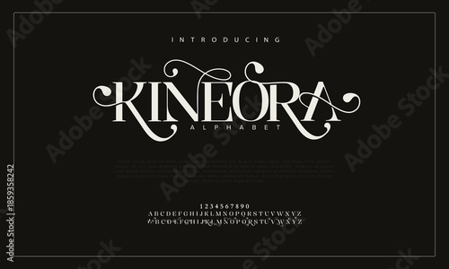 Luxury serif font in modern style. Elegant wedding alphabet letters font and number. Typography Luxury classic lettering serif fonts decorative vintage retro logo
