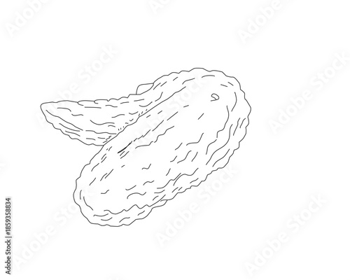 Crispy Fried Chicken Wings Line Art Illustration. Hand Drawn Chicken Wing Sketch. Black and White Minimal Food Outline for Menu, Packaging, Branding