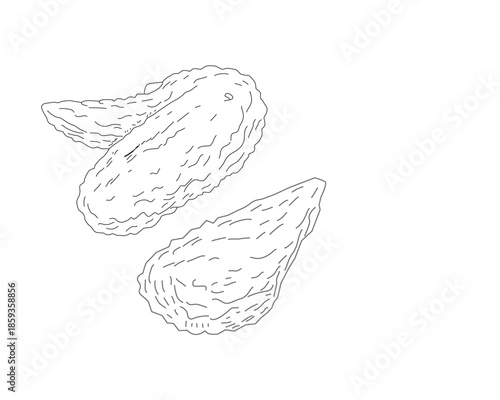 Crispy Fried Chicken Wings Line Art Illustration. Hand Drawn Chicken Wing Sketch. Black and White Minimal Food Outline for Menu, Packaging, Branding. Illustration Set