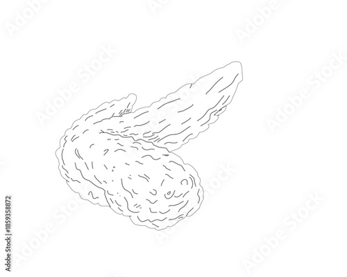 Crispy Fried Chicken Wings Line Art Illustration. Hand Drawn Chicken Wing Sketch. Black and White Minimal Food Outline for Menu, Packaging, Branding