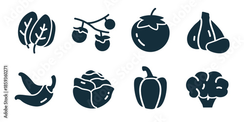 Vegetables excellent icon collection. Leaves, cherry branch, tomato, garlic, chili pepper, cabbage, broccoli, pumpkin icons